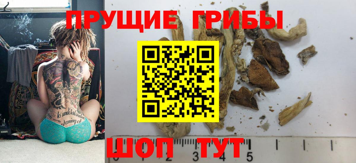 закладка  Псилоцибиновые грибы Psilocybe  Вход с VPN  Мирный 
