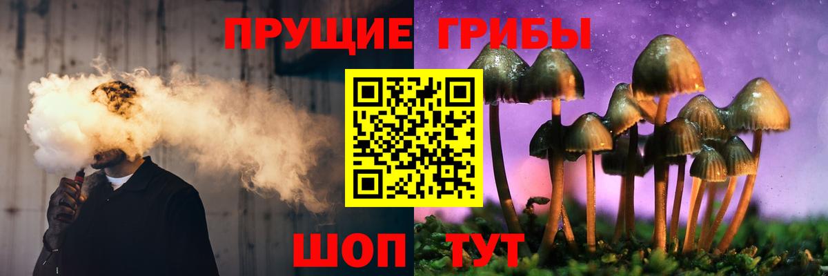 Псилоцибиновые грибы Psilocybine cubensis Мирный